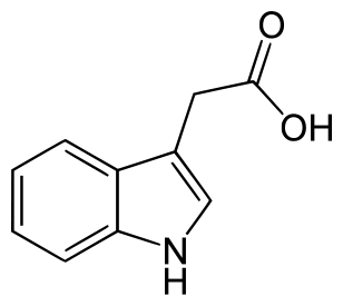 308px-Indol-3-ylacetic_acid.svg.png